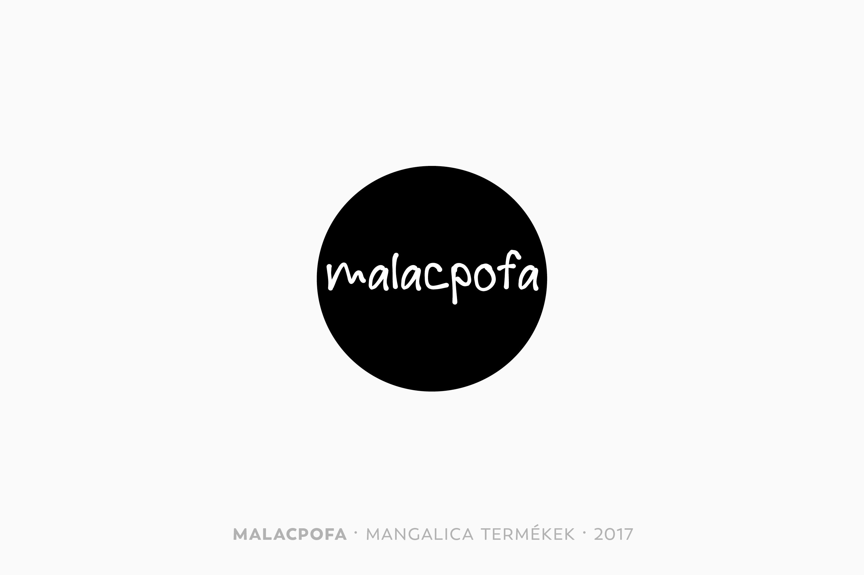 LOGOFOLIO | 2017-2020